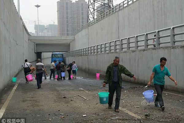 武汉市江岸区：依托行业龙头 打造生态环保产业集群